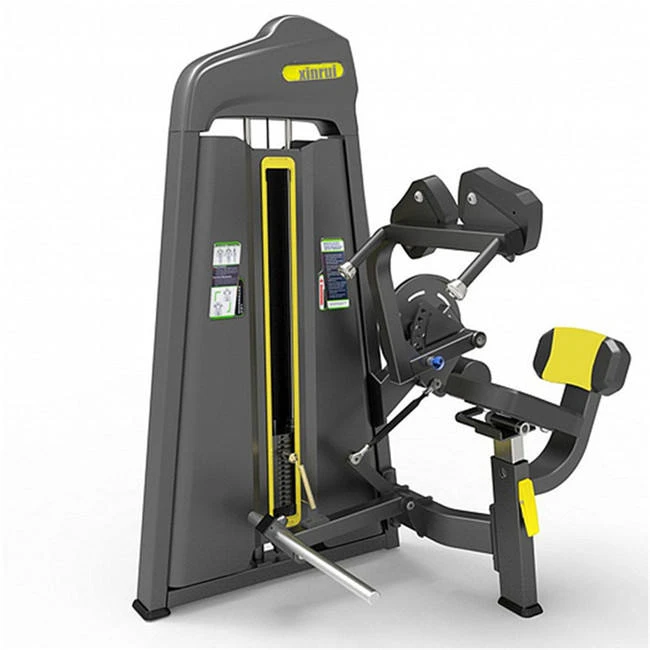 Waist And Back Training Apparatus best